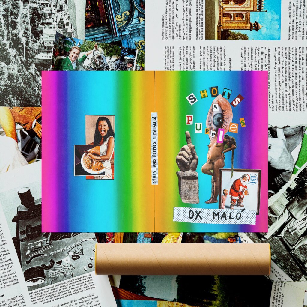 Disparos y Cachorros Cover | Poster