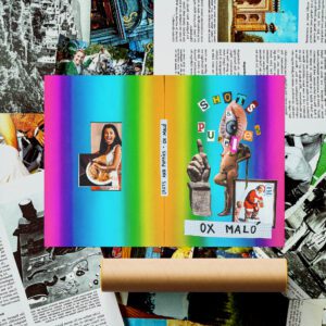 Shots and Puppies Cover | Poster