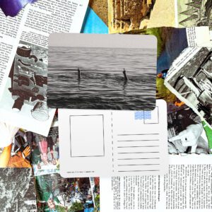 The sea spoke to you today | Postcards