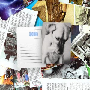 Dog | 10 Postcards