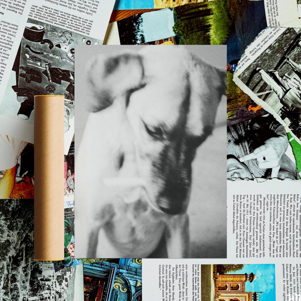 Dog | Poster